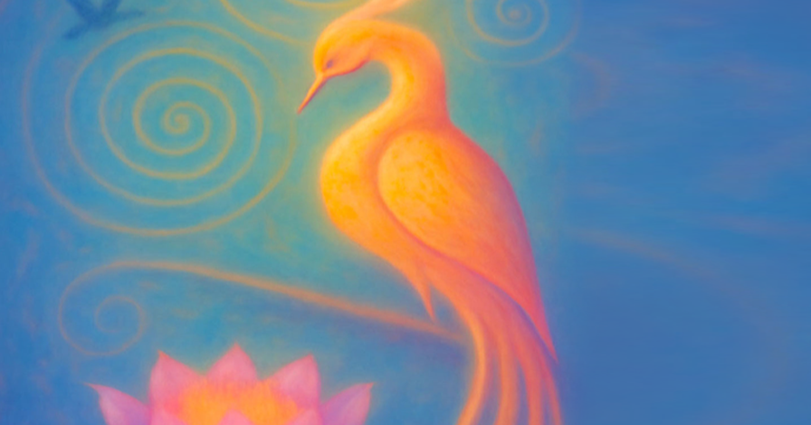 Visuel oiseau de feu ma-pratique-energetique.fr